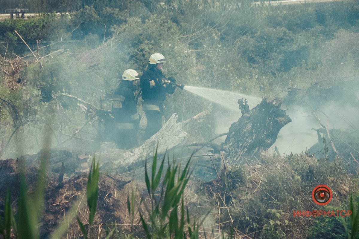 В Днепре на Набережной Победы загорелся сухостой 11