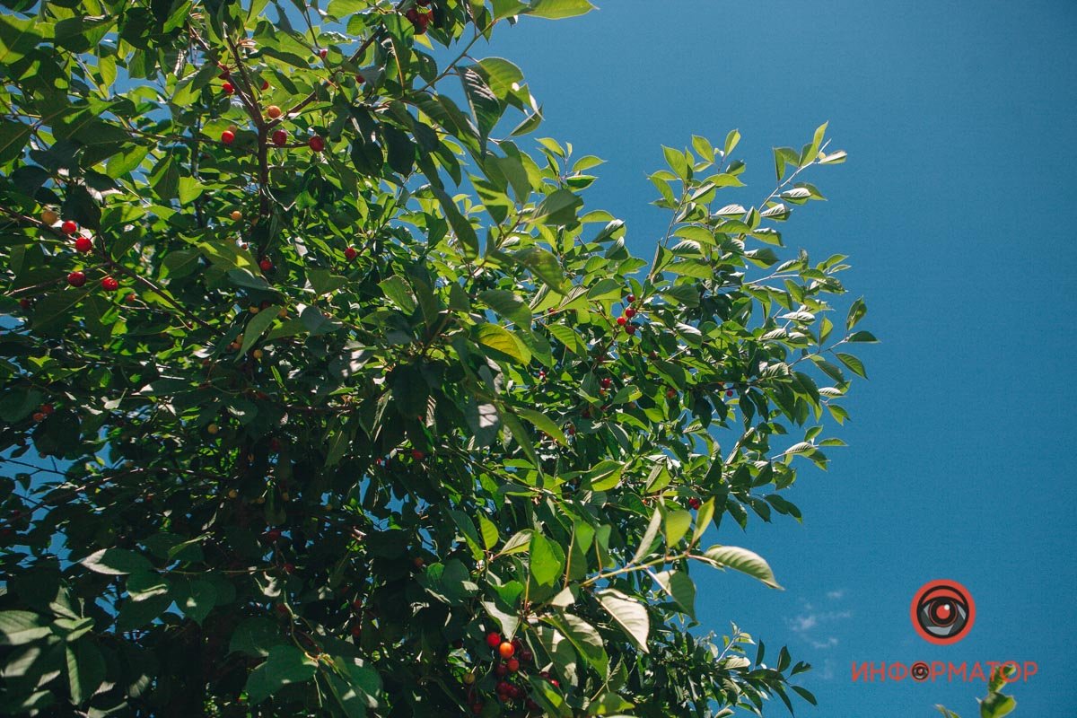 Красотища Красотища