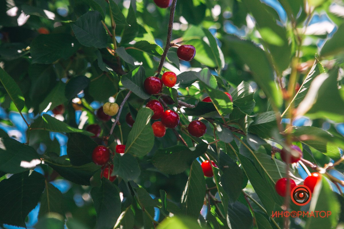 Сейчас бы туда Сейчас бы туда