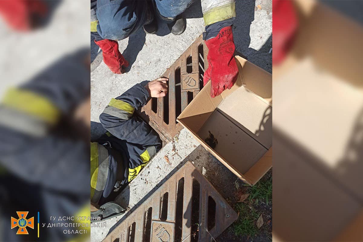 В службу спасения обратился небезразличный прохожий