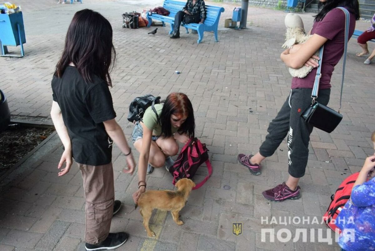 Полицейские эвакуировали многодетную семью из Донецкой области в Днепр 1