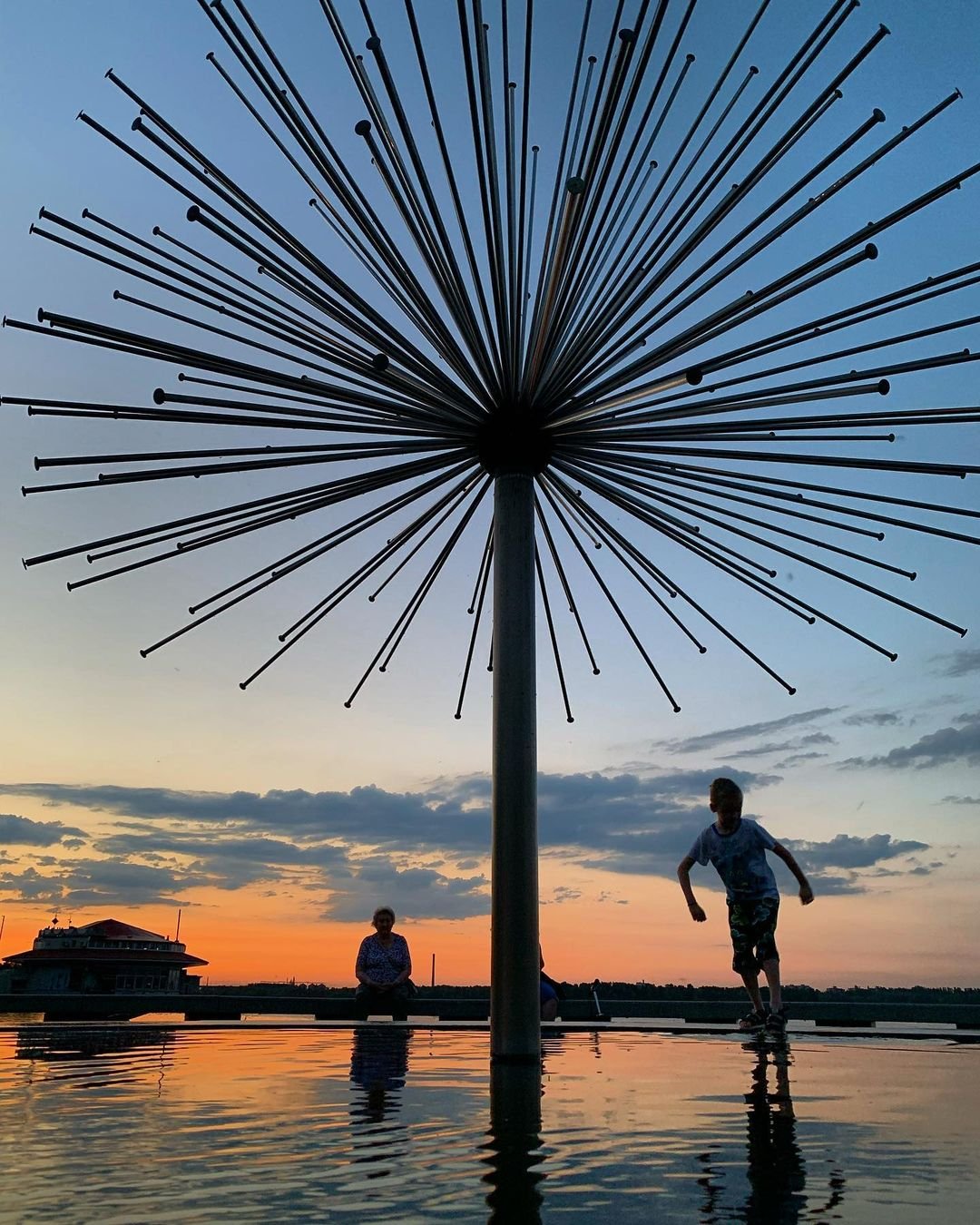 Фото: @hamster_serg Фото: @hamster_serg