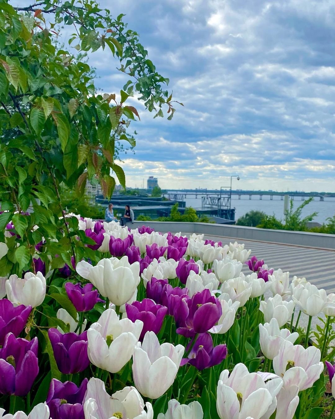 Фото: @mari_andrsv Фото: @mari_andrsv