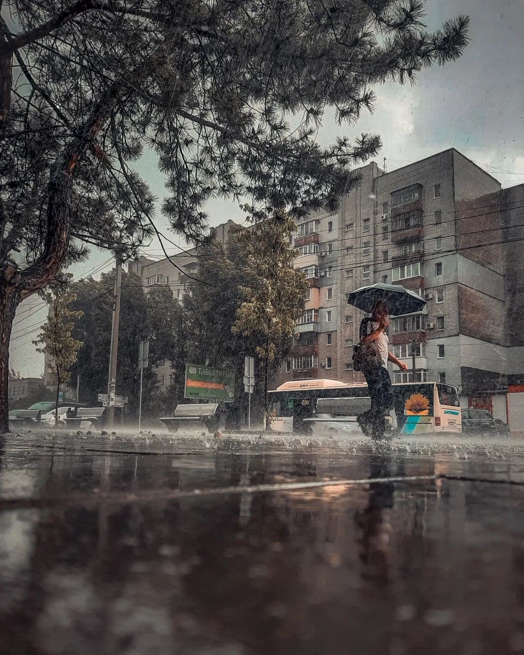 Фото: @nikitos161331 Фото: @nikitos161331