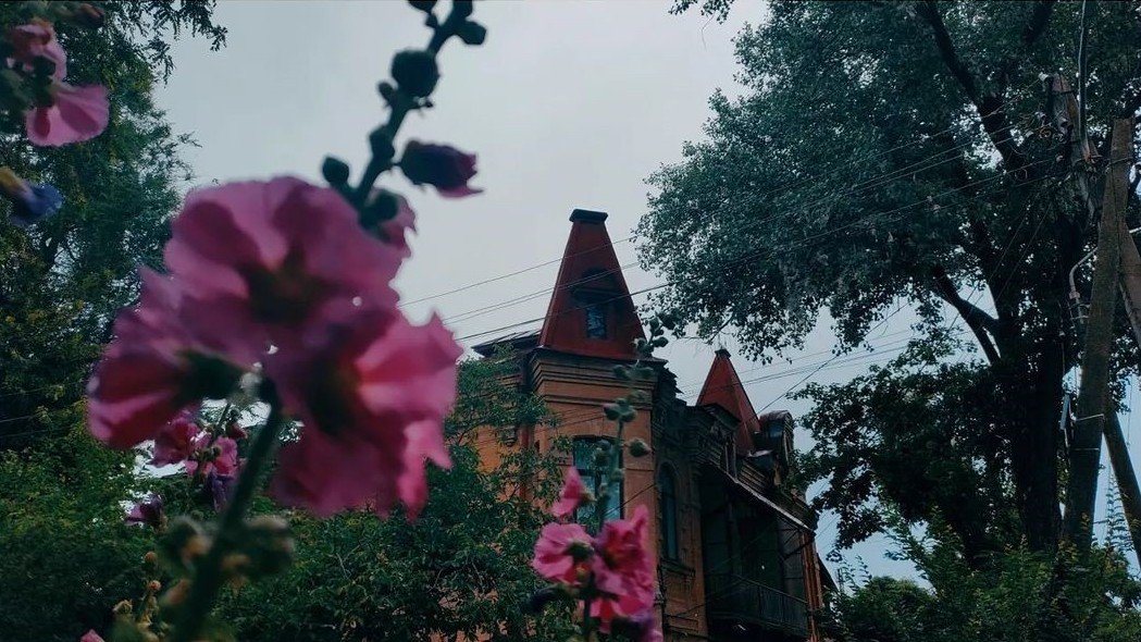 Фото: @spider_cakes Фото: @spider_cakes