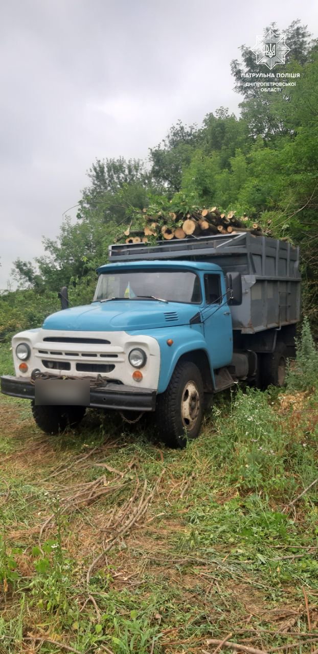 В Днепре мужчины нелегально валили деревья: дрова пытались вывезти в грузовиках 3