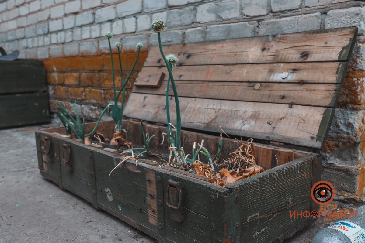 Жизнь на передовой: атмосфера войны глазами 98-го батальона ТрО “Азов” 19