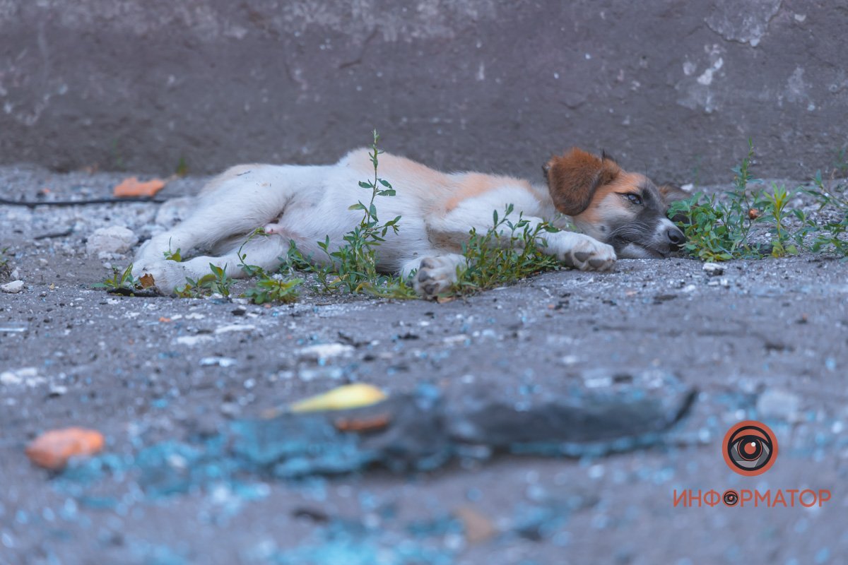 "Русский мир" наглядно: как выглядят последствия ракетного удара по АТП в Днепре 25