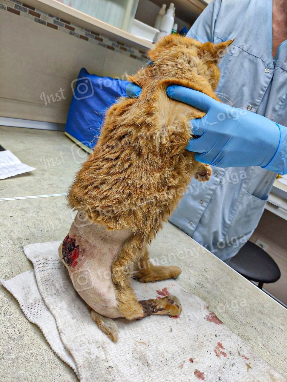 У нее стремительно падает температура тела. Сейчас всего 32,5 градуса У нее стремительно падает температура тела. Сейчас всего 32,5 градуса