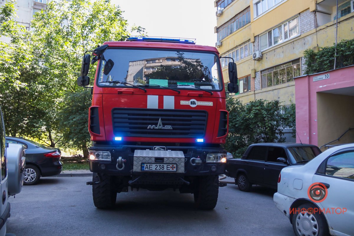 В квартире, где произошло возгорания нашли тела троих животных: собаки и двоих котов В квартире, где произошло возгорания нашли тела троих животных: собаки и двоих котов