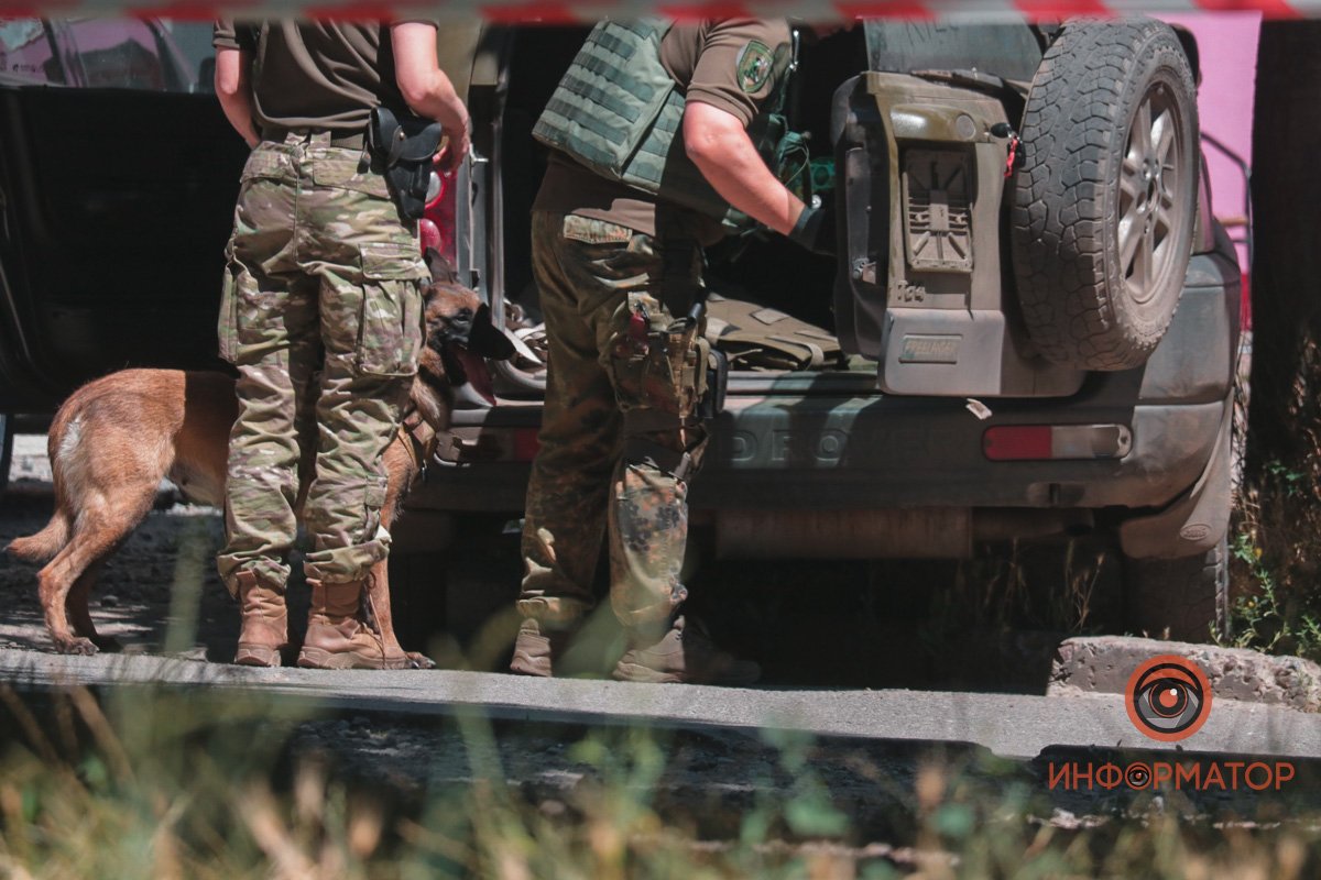 Фото: Дмитрий Федоров