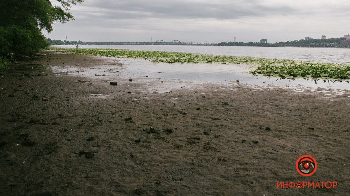 В реке Днепр понизился уровень воды: что говорят экологи