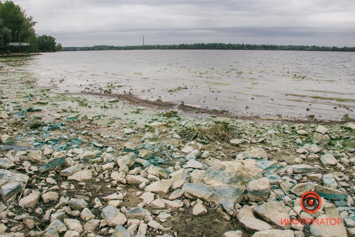 По словам специалистов, катастрофической ситуации нет