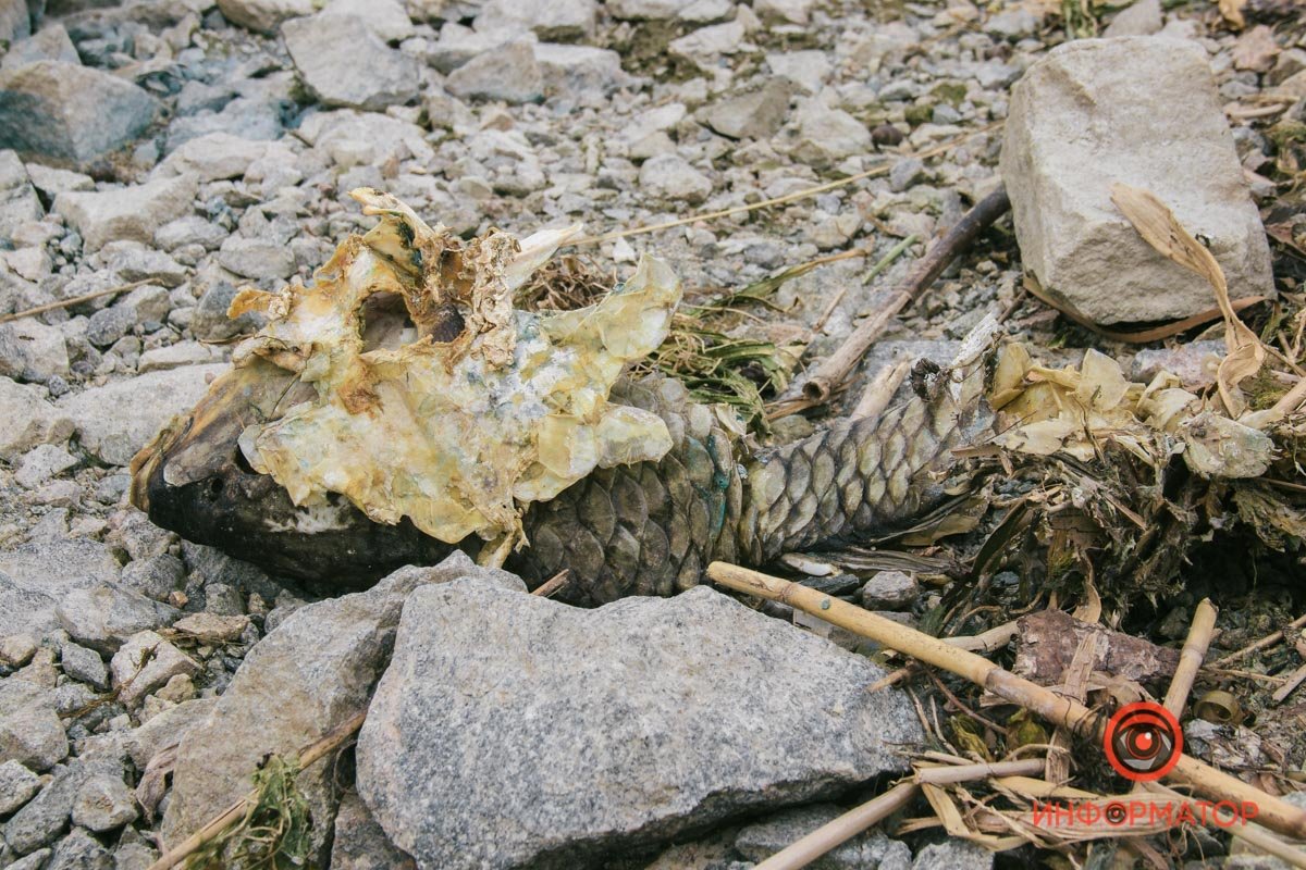 Нужен максимальный отказ от сброса загрязняющих веществ