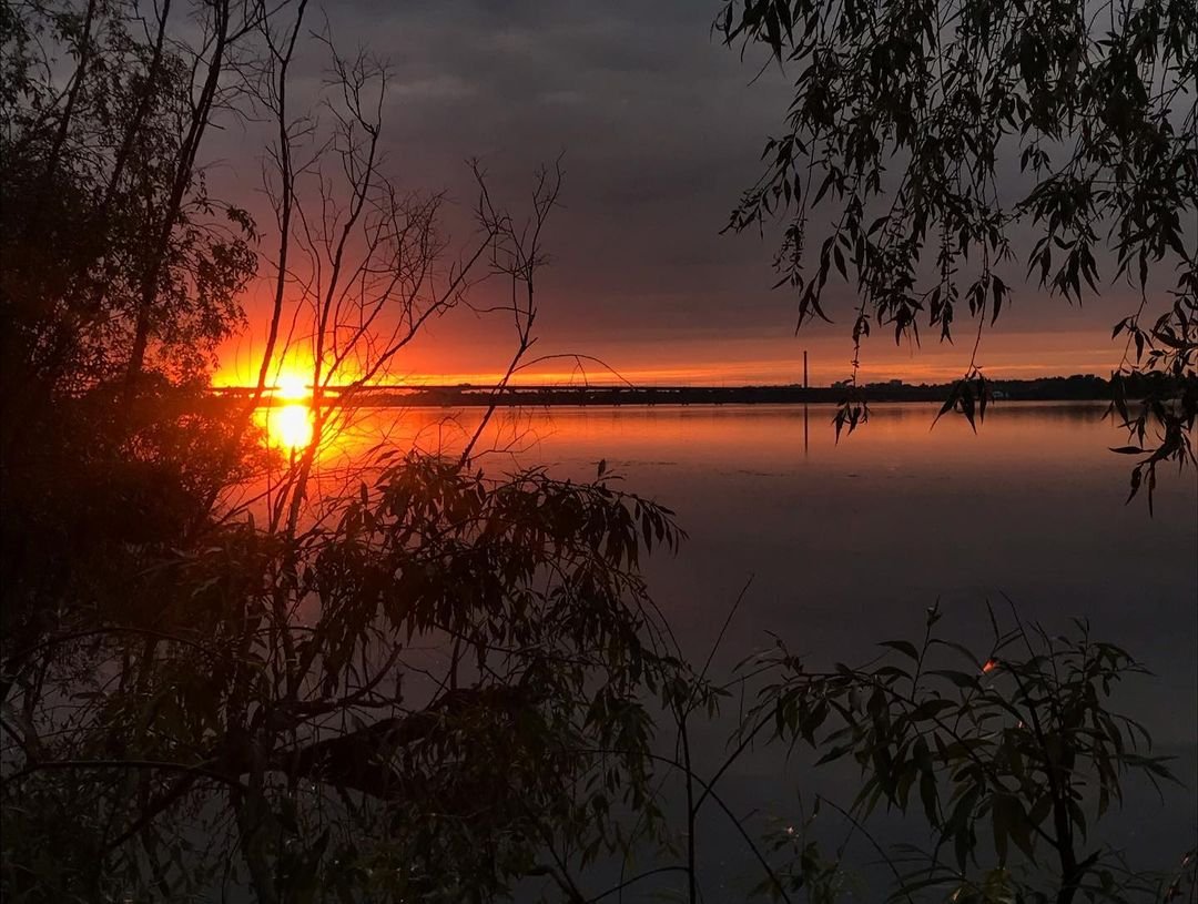 Фото: @__wiskasss Фото: @__wiskasss