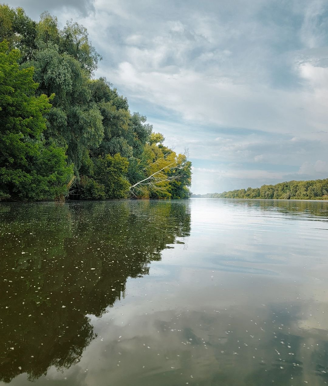 Фото: @ald_photos Фото: @ald_photos