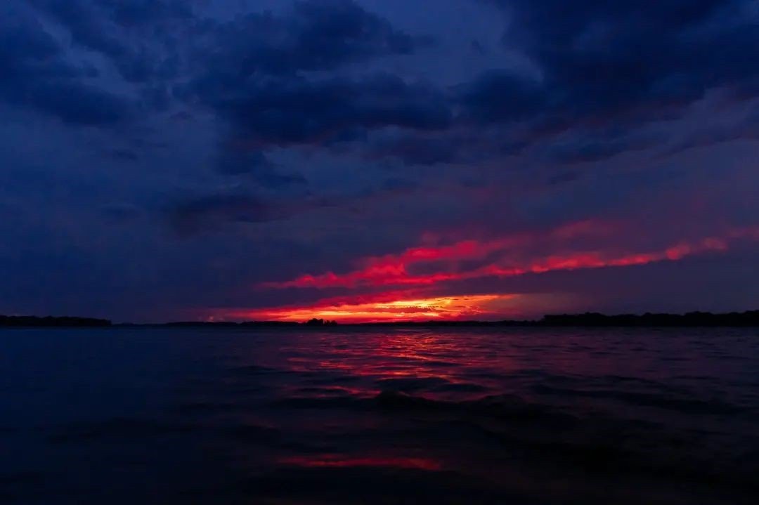 Фото: @dmfprodua Фото: @dmfprodua