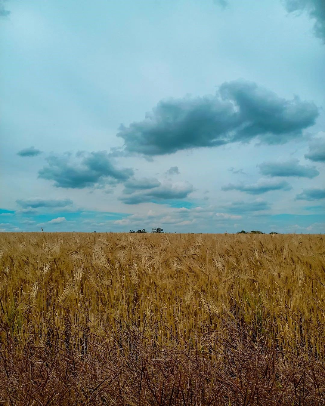 Фото: @mari_12mk Фото: @mari_12mk