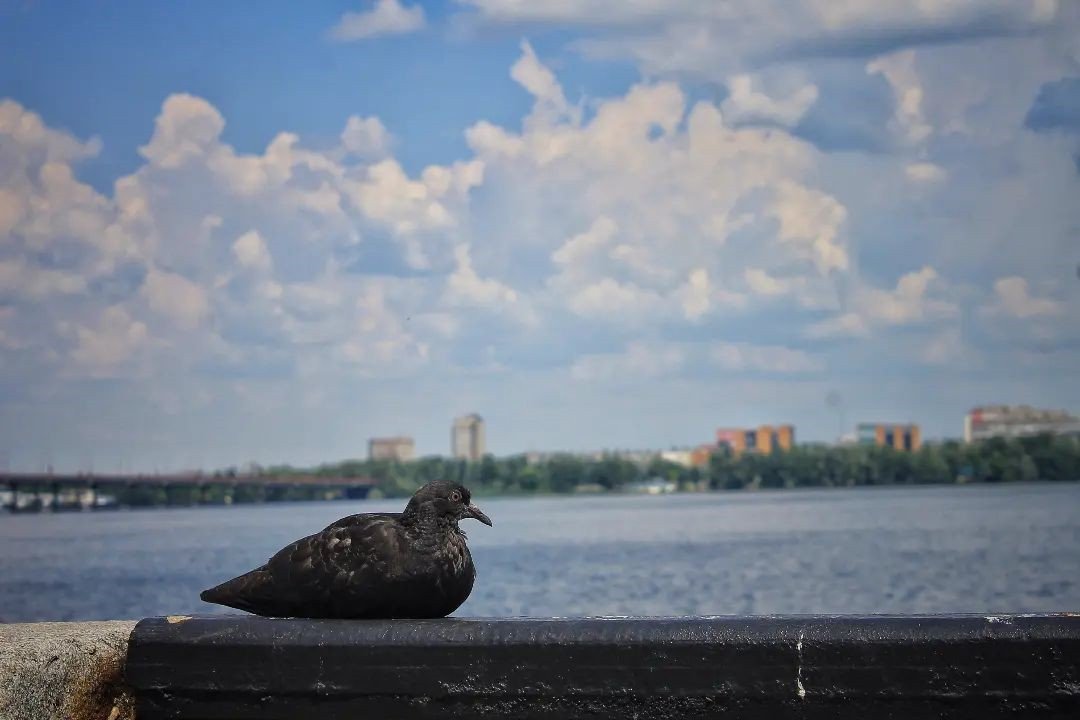 Фото: @photographer_andrey_moroz Фото: @photographer_andrey_moroz