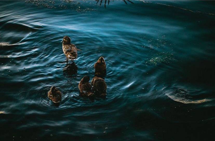 Фото: @alina.zakovyrko Фото: @alina.zakovyrko