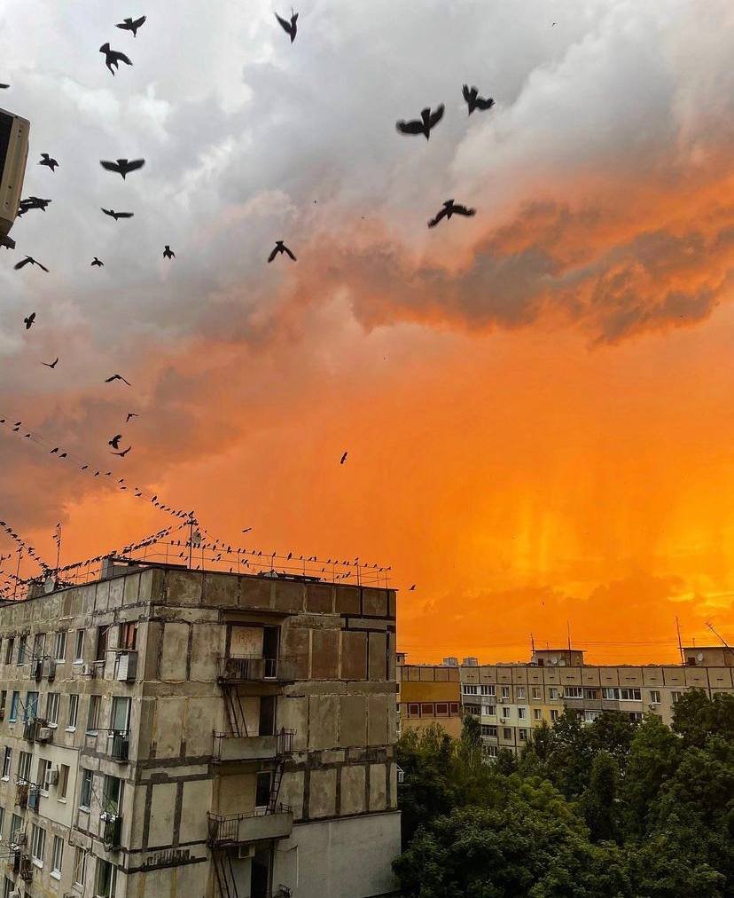 Фото: @by_alinet Фото: @by_alinet