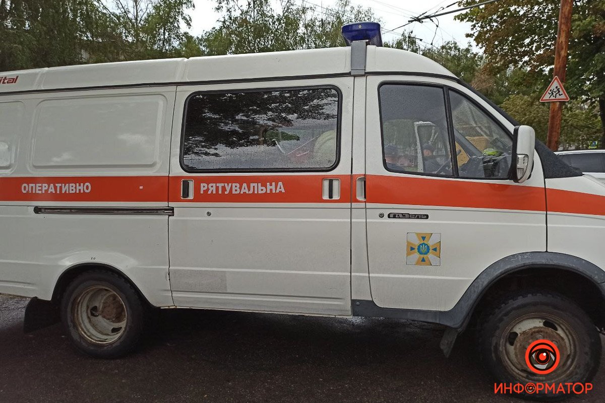 В Днепре на проспекте Поля упавшее дерево повисло на проводах над проезжей частью 4