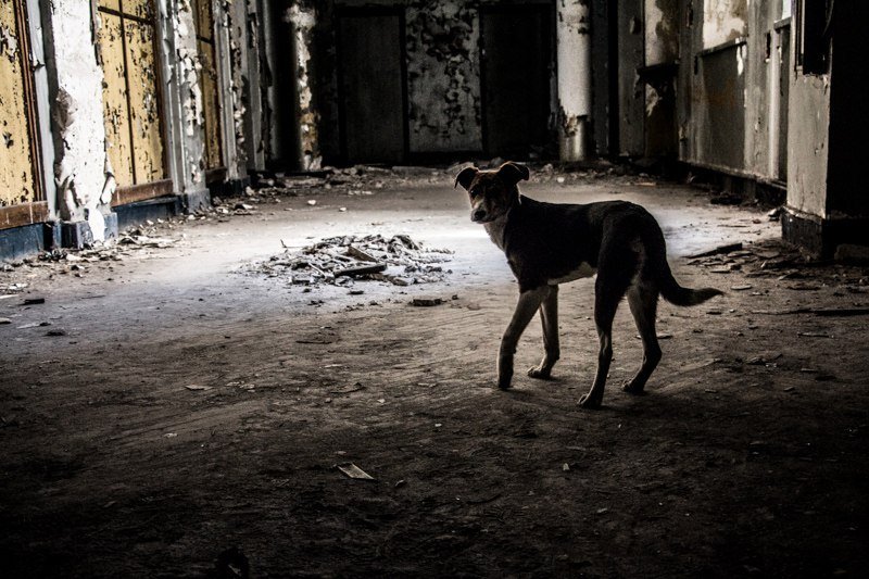 Взгляд изнутри: как сейчас выглядит заброшенный ДК Ильича 15