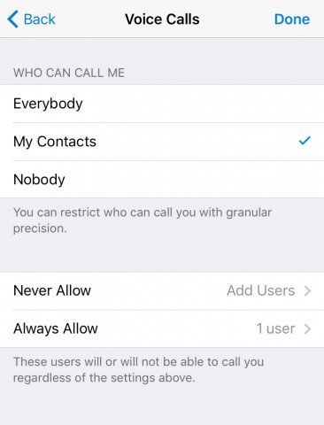 Telegram запускает голосовые звонки 1
