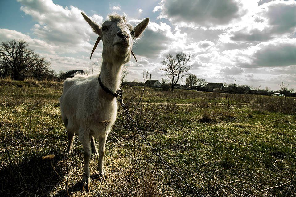 В Днепр перевезли уникальный исторический экспонат 11
