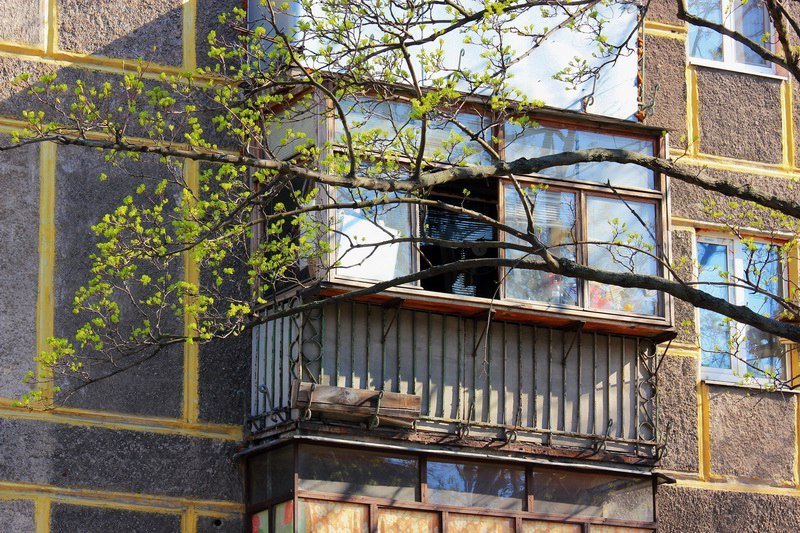 Красота природы: в Днепре зацвели каштаны и цветы 6