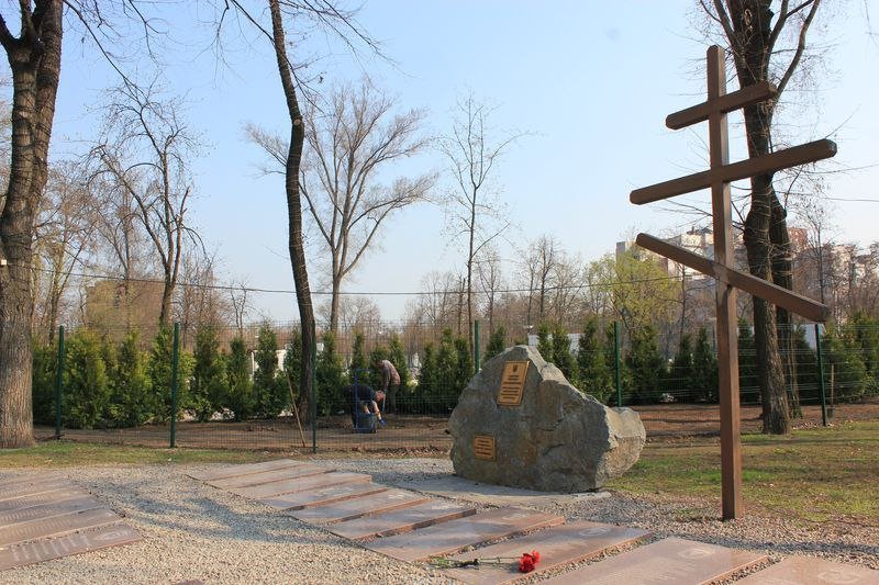 На Аллее памяти возле ОГА посадили 180 туй 1