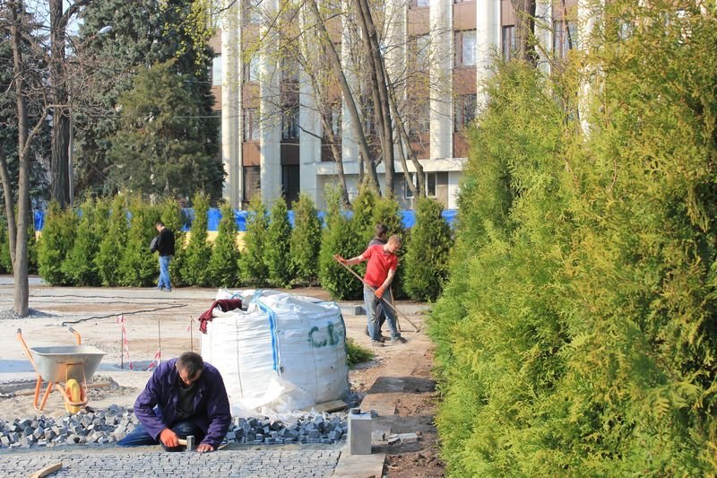 На Аллее памяти возле ОГА посадили 180 туй 2