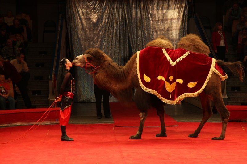 8 апреля в Днепре: куда пойти сегодня 2