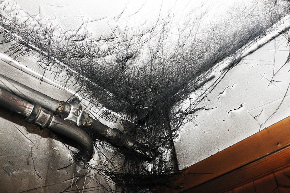 На Поля неизвестные закинули в подъезд горящую шину и чуть не спалили дом 1