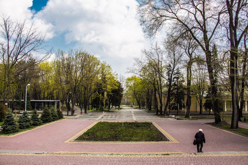 Зелень, спокойствие и красота: прогулка по аллеям парка Шевченко 2