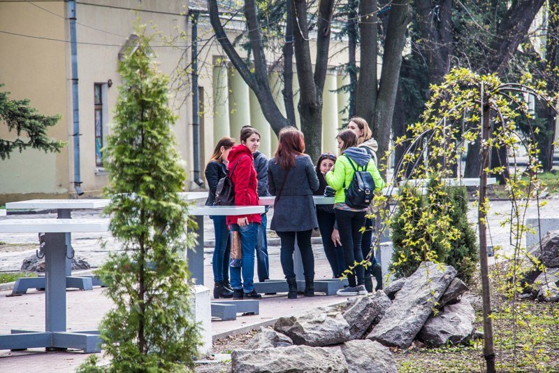 Зелень, спокойствие и красота: прогулка по аллеям парка Шевченко 5