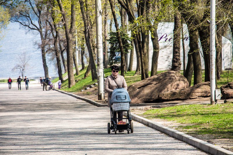 Зелень, спокойствие и красота: прогулка по аллеям парка Шевченко 9