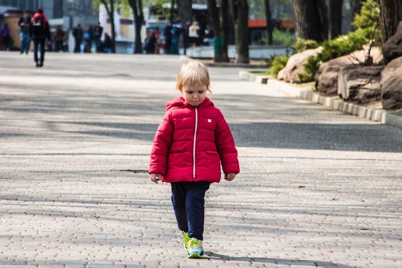 Зелень, спокойствие и красота: прогулка по аллеям парка Шевченко 10