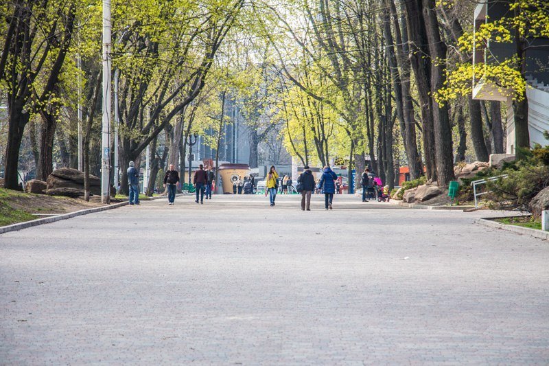 Зелень, спокойствие и красота: прогулка по аллеям парка Шевченко 13