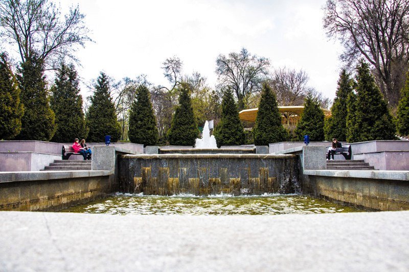 Зелень, спокойствие и красота: прогулка по аллеям парка Шевченко 23