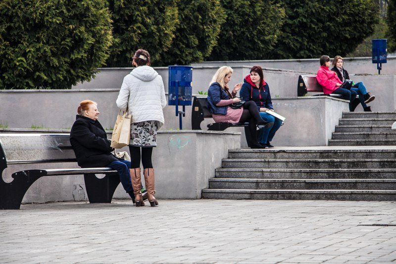 Зелень, спокойствие и красота: прогулка по аллеям парка Шевченко 26