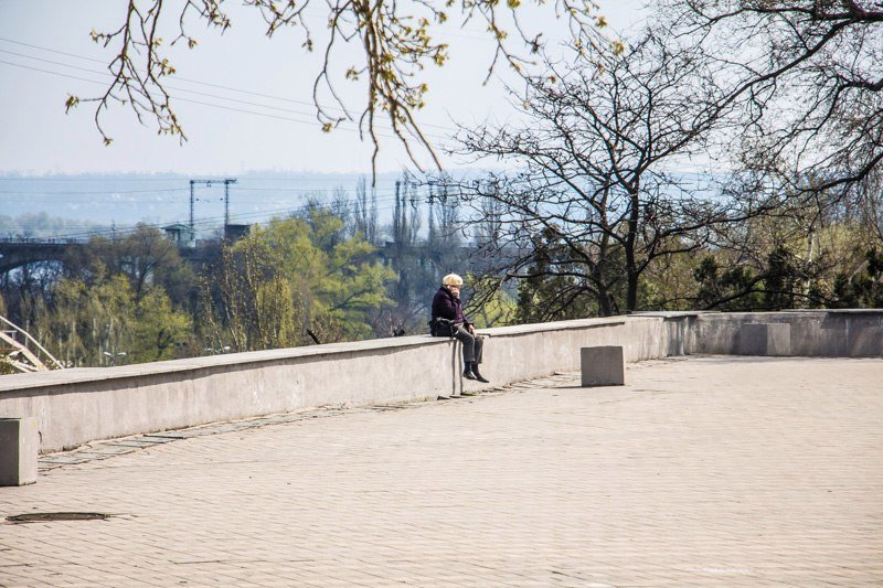 Зелень, спокойствие и красота: прогулка по аллеям парка Шевченко 30