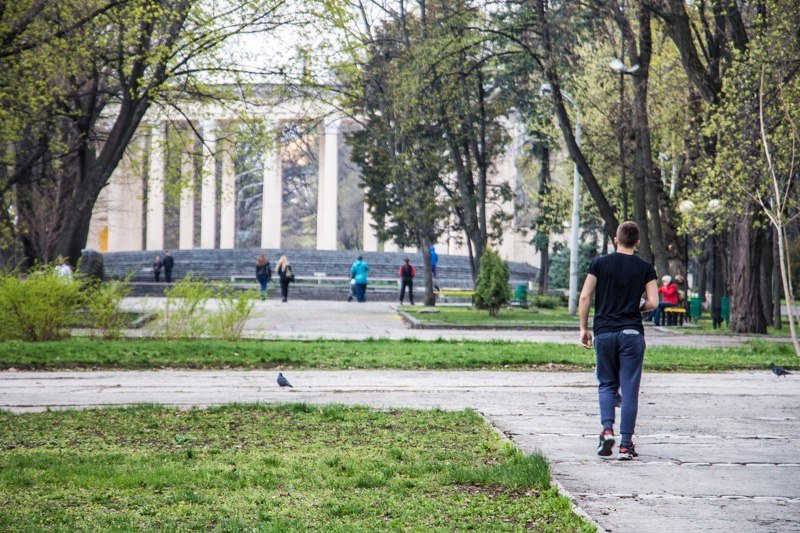 Зелень, спокойствие и красота: прогулка по аллеям парка Шевченко 37