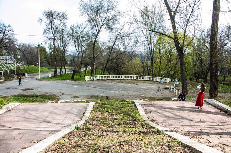 Зелень, спокойствие и красота: прогулка по аллеям парка Шевченко 38