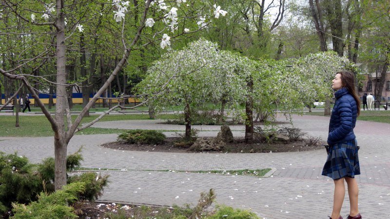 Выходной в Днепре: пустые улицы, одинокие фонтаны и цветущие магнолии 6