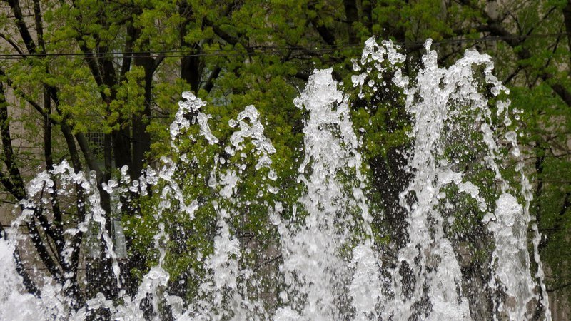 Выходной в Днепре: пустые улицы, одинокие фонтаны и цветущие магнолии 14