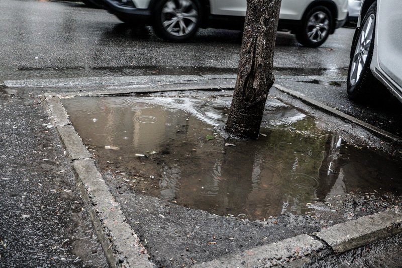 Не забудьте зонт: в Днепр вернулись холод и дождь со снегом 5