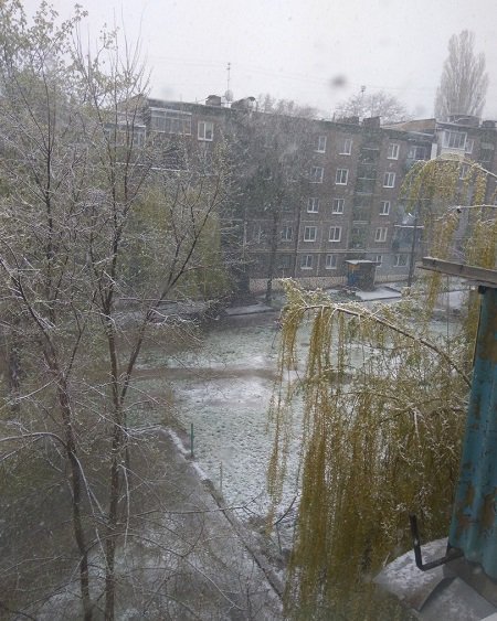 В Днепре выпал апрельский снег 2