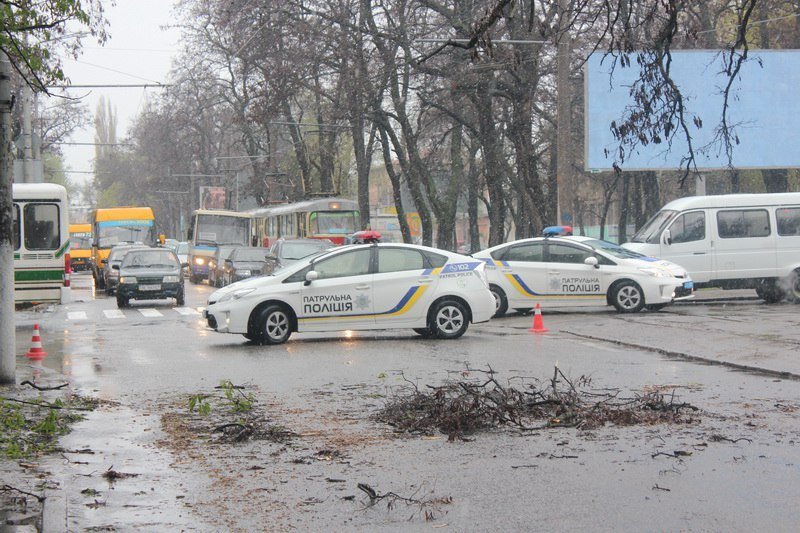 На Пушкина ветер повалил дерево на провода 1