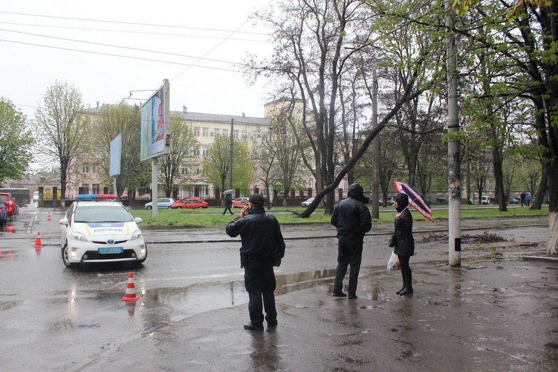 На Пушкина ветер повалил дерево на провода 6